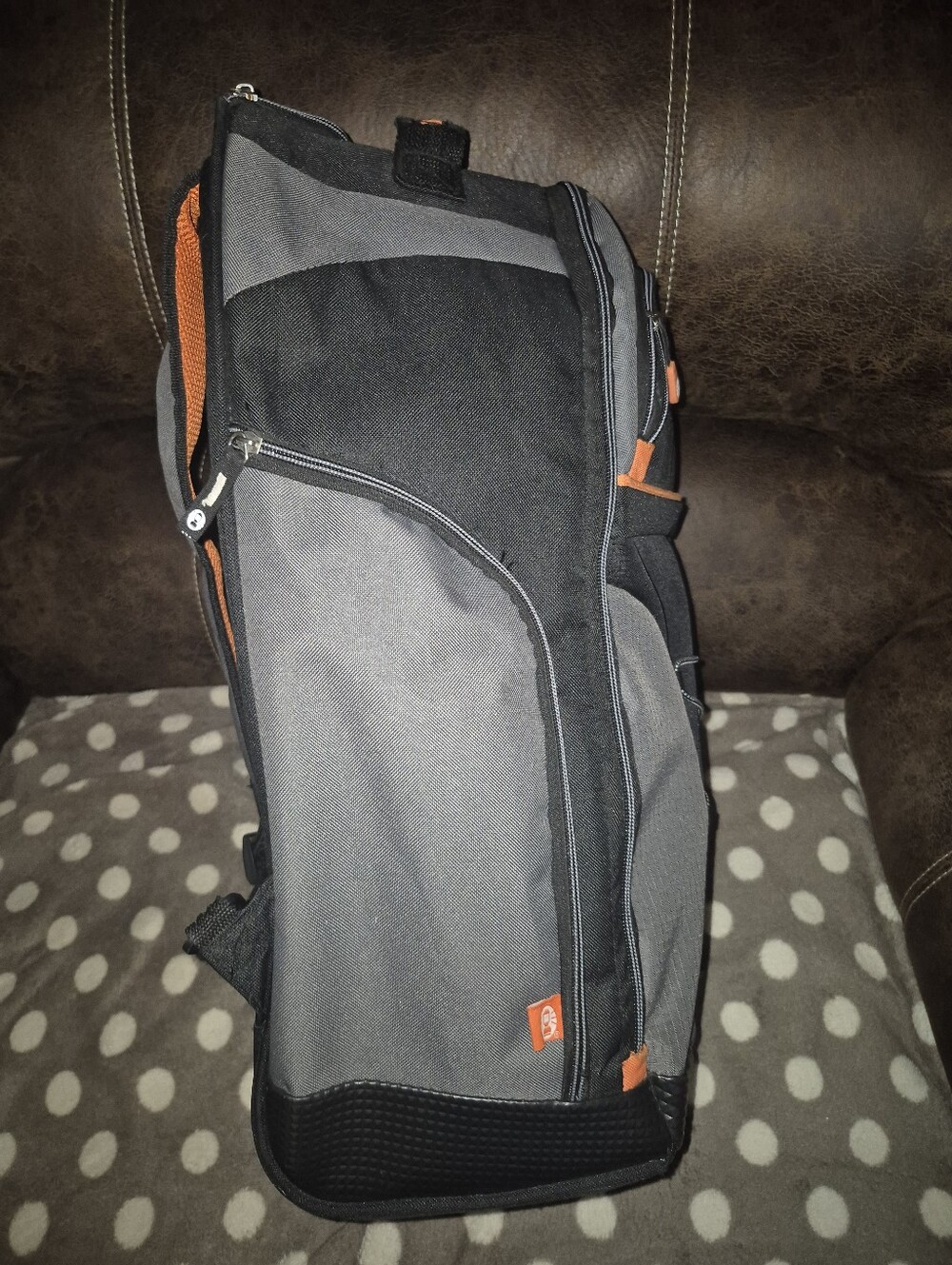 Coleman Roller Backpack - Picture 4 of 5